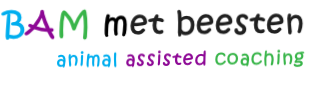 BAM met beesten
animal assisted coaching
